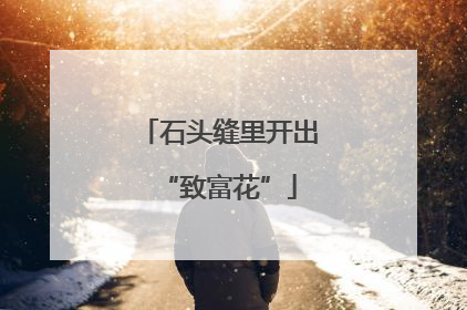 石头缝里开出“致富花”